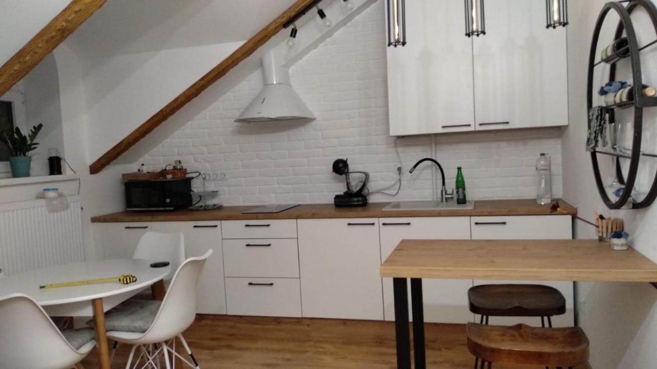 Old Town Loft Apartments Kamjanets-Podilsky Buitenkant foto