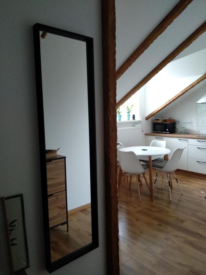 Old Town Loft Apartments Kamjanets-Podilsky Buitenkant foto